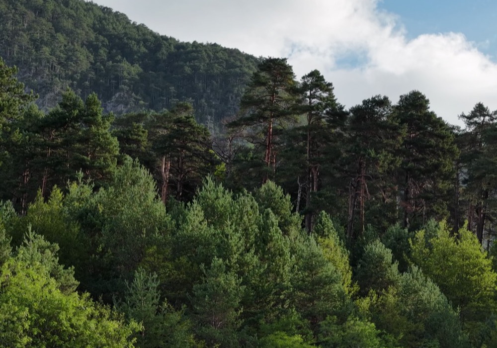 Hegyvidéki panoráma légifotója